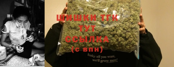 стаф Верея