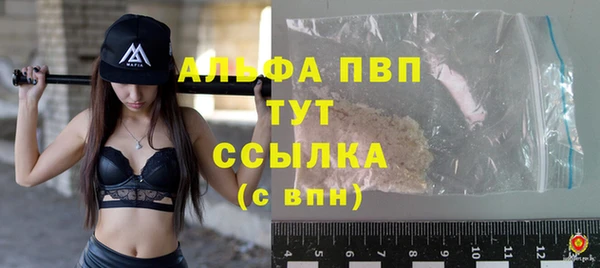 стаф Верея