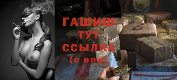стаф Верея