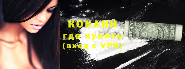 прущие грибы Семилуки