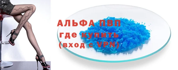 стаф Верея