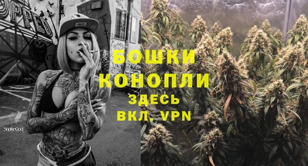 стаф Верея