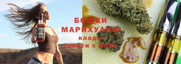 стаф Верея
