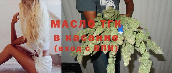 стаф Верея