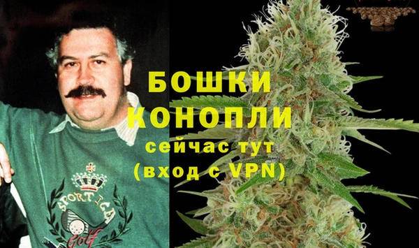 стаф Верея