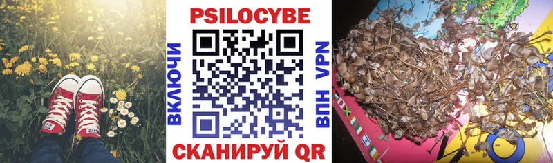 Псилоцибиновые грибы Psilocybine cubensis  даркнет сайт  ОМГ ОМГ рабочий сайт  Семёнов 