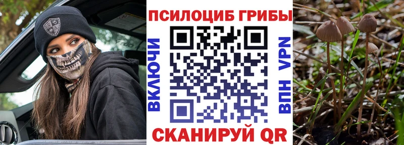 Псилоцибиновые грибы MAGIC MUSHROOMS Семёнов
